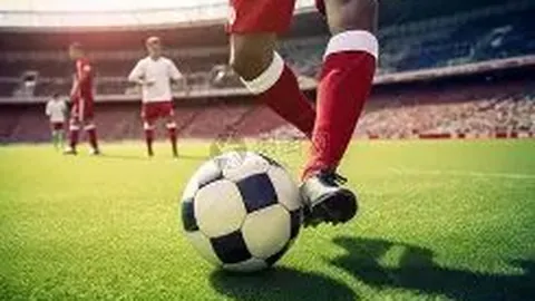 佩莱格里尼现场领悟安东尼战术精髓